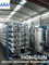 planta Ultrapure de la purificación del agua del PLC HMI de 220V 380V